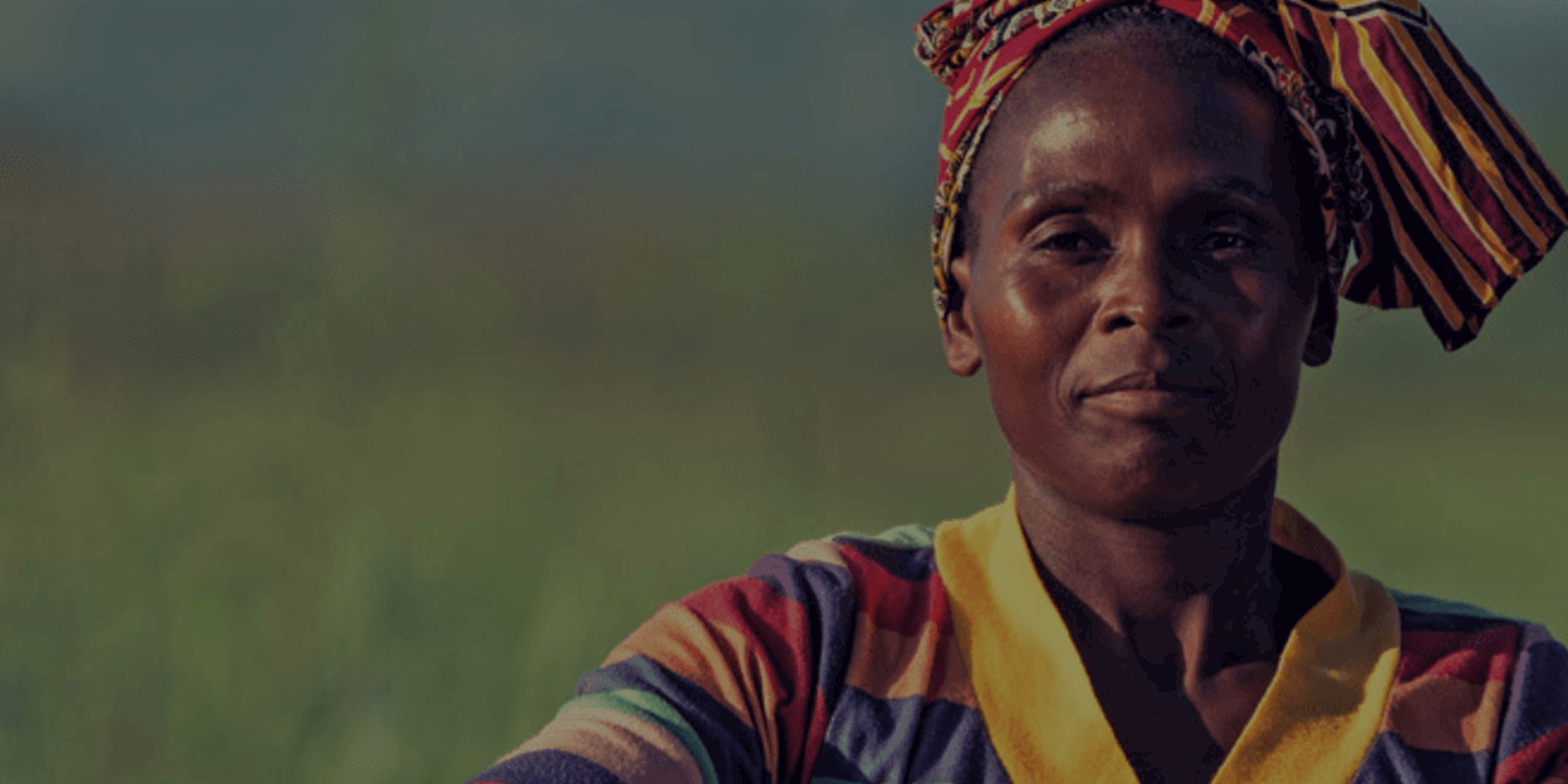 a Nando’s meal on a table including PERi-PERi chicken, a salad, chips, and a selection of sides