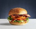 Chicken BLAT